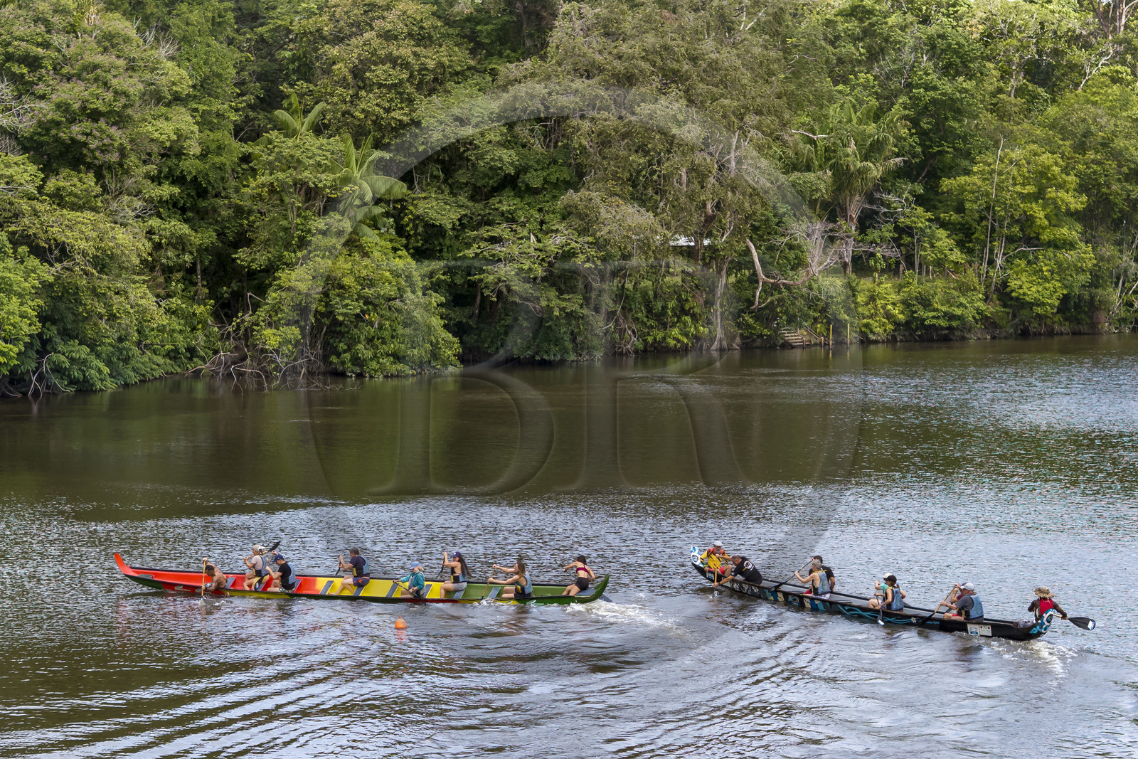 France, Guyane, Kourou, Camp Maripas, course de deux pirogues P12 (pirogue traditionnelle Guyanaise adaptée en résine) sur le fleuve Kourou (vue aérienne)