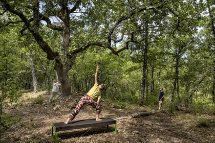 France, Var (83), Provence Verte, Bras, Académie du Bain de Forêt Provençale, forêt du domaine Le Peyrourier - une campagne en Provence, Constanze Coisne guide le Shinrin Yoku