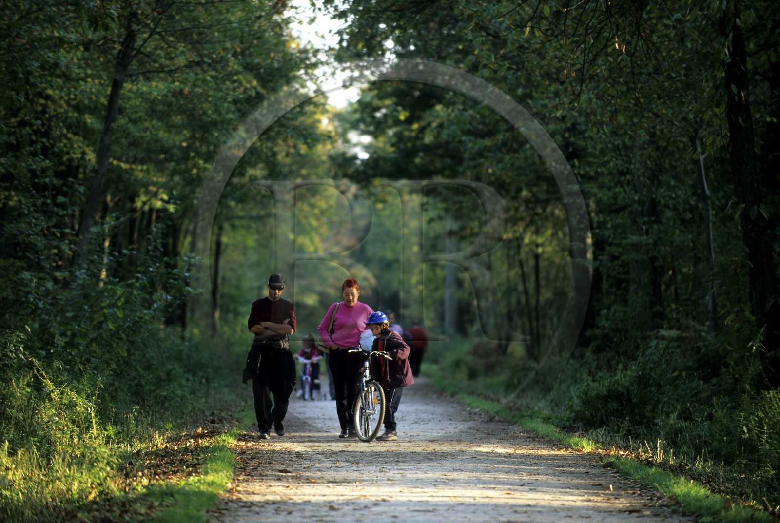 France, Val-de-Marne (94), forêt Notre-Dame