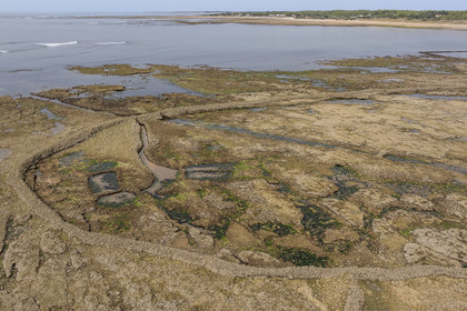 France, Charente-Maritime (17), Ile d'Oléron, Saint-Georges-d'Oléron, plage des Sables Vignier à marée basse, l'écluse à poissons des Basses (vue aérienne)