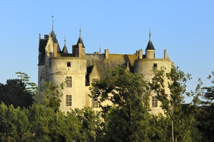 France, Maine et Loire, Chateau de Montreuil Bellay