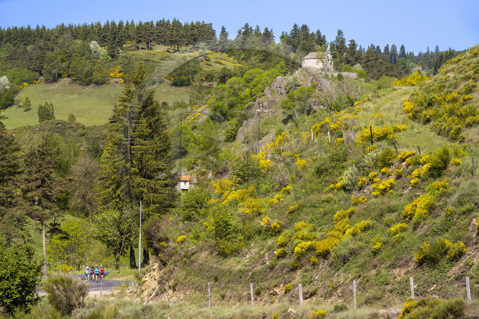 France, Lozère (48), Cheylard-l'Evêque, la chapelle domine le village, randonnée avec un âne sur le chemin de Stevenson (GR 70)