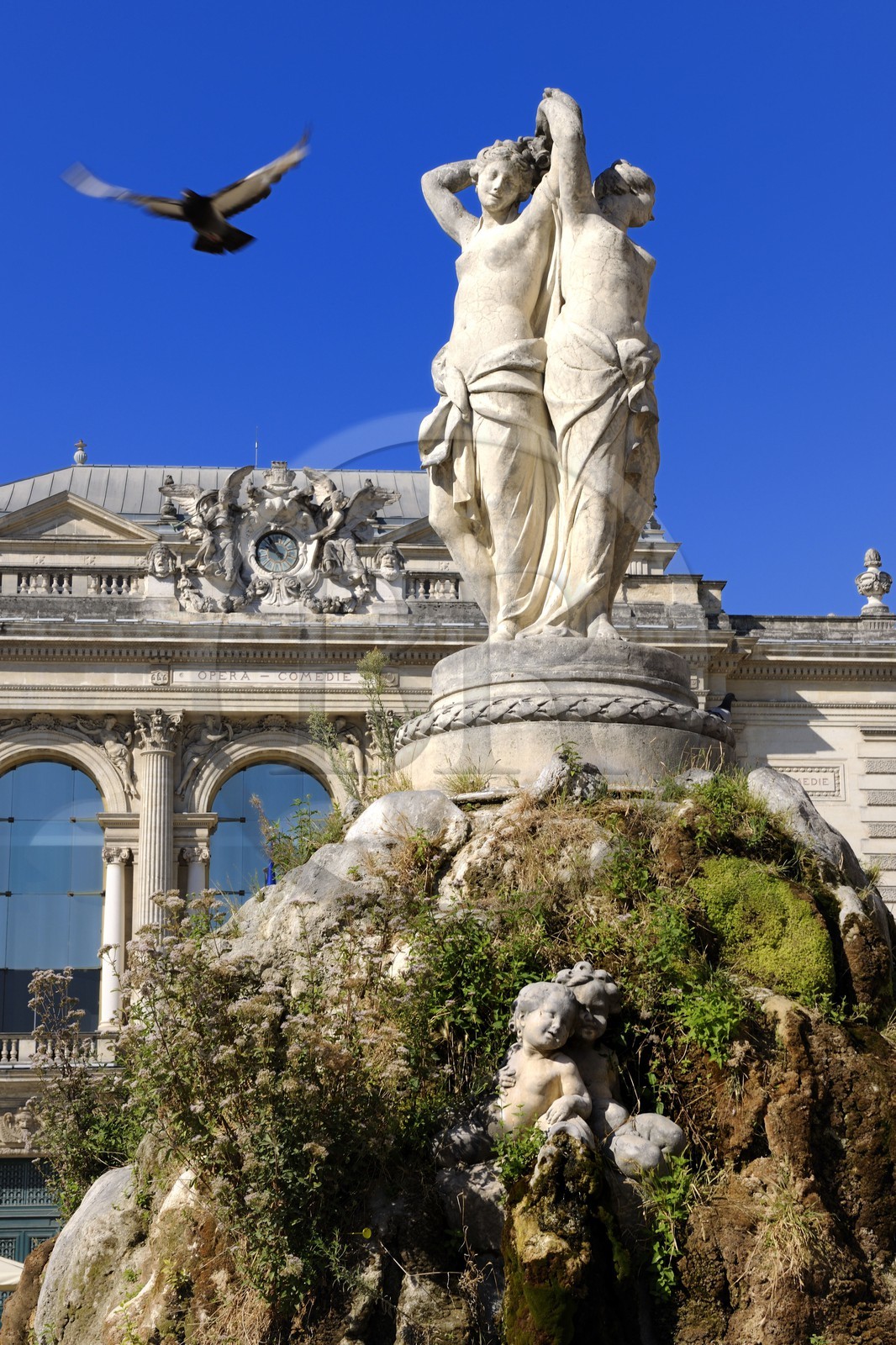 France, Hérault (34), Montpellier, Place de la Comédie, fontaine des Trois Grâces