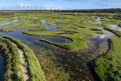 France, Vendée (85), Talmont-Saint-Hilaire, marais de la Guittière dans l'arrière pays de la Pointe du Payré, cycliste sur la piste de la véloroute Vendée Vélo Tour et Vélodyssée au passage du Cul d’Ane, marais aménagés pour la pisciculture de dorades, mulets et anguilles (vue aérienne)