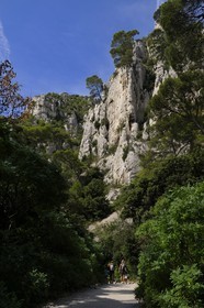 France, Bouches-du-Rhône (13), Cassis, le sentier menant à la calanque d'en Vau