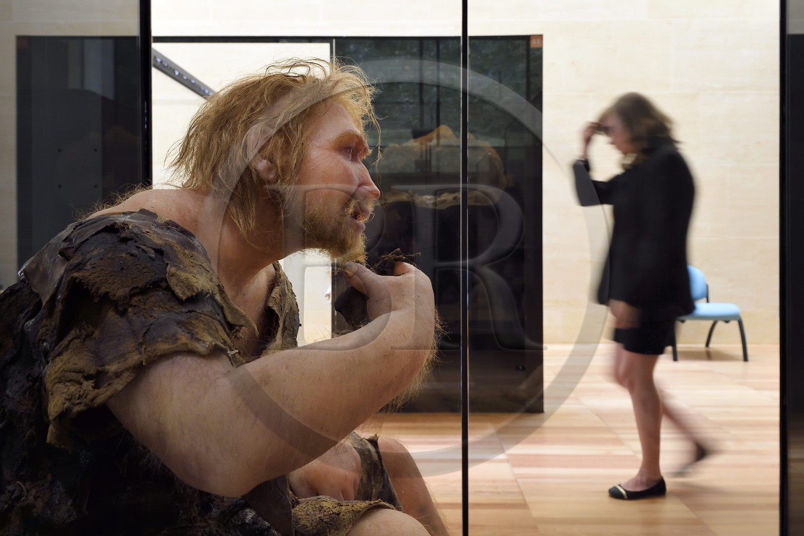 France, Dordogne, Perigord Noir, Vezere Valley, Les Eyzies de Tayac Sireuil, listed as World Heritage by UNESCO, Musee de la Prehistoire (Museum of Prehistory), proposed reconstruction of the Neanderthal Man coming from the archaeological site of Ferrassie