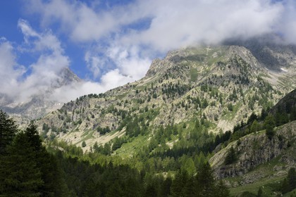 France, Alpes-Maritimes, parc national du Mercantour (Mercantour National Park), Valmasque valley, peaks of high Valmasque and cime de l'Agnel (2927m)