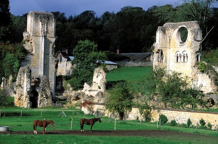 France, Eure (27), ruines de l'abbaye de Mortemer