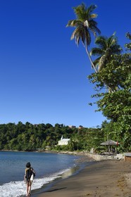 Caraïbes, Ile de la Dominique, Toucari Bay au nord de Portsmouth