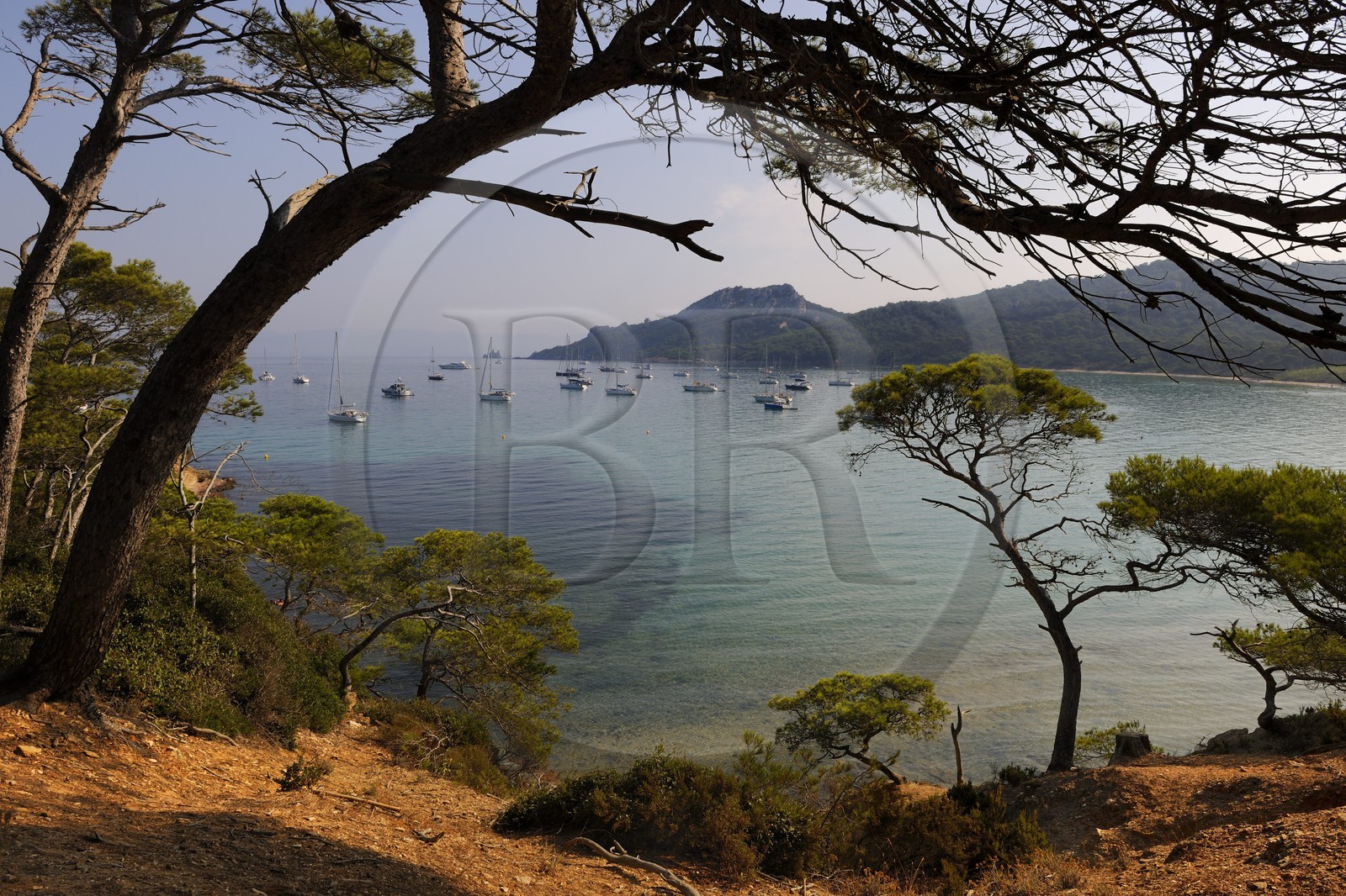 France, Var (83), Iles d'Hyères, parc national de Port-Cros, île de Porquerolles, la Plage Notre Dame