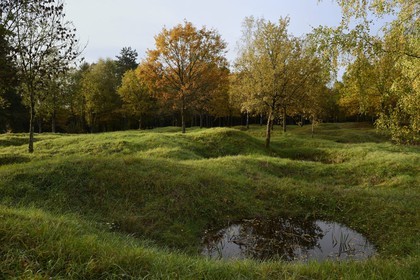 France, Meuse, Douaumont, landscape marked by shell holes still a century after the battle of Verdun, ouvrage Thiaumont along the ossuary of Douaumont