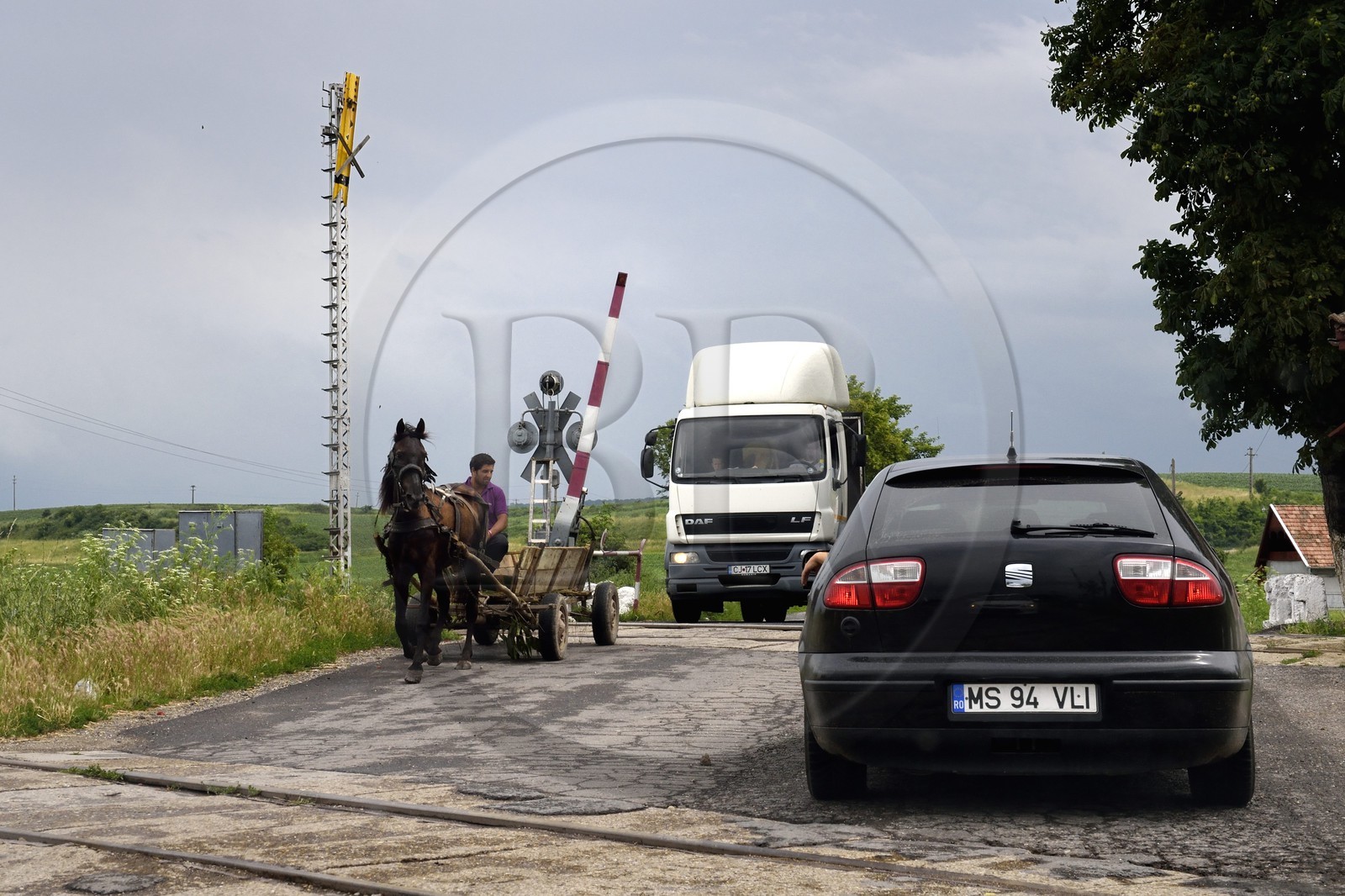 Romania, Transylvania, Iernut, horse carriage at a railway crossing