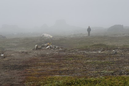 Greenland, west coast, Disko Island, Qeqertarsuaq, hiker in the mist walking in the tundra