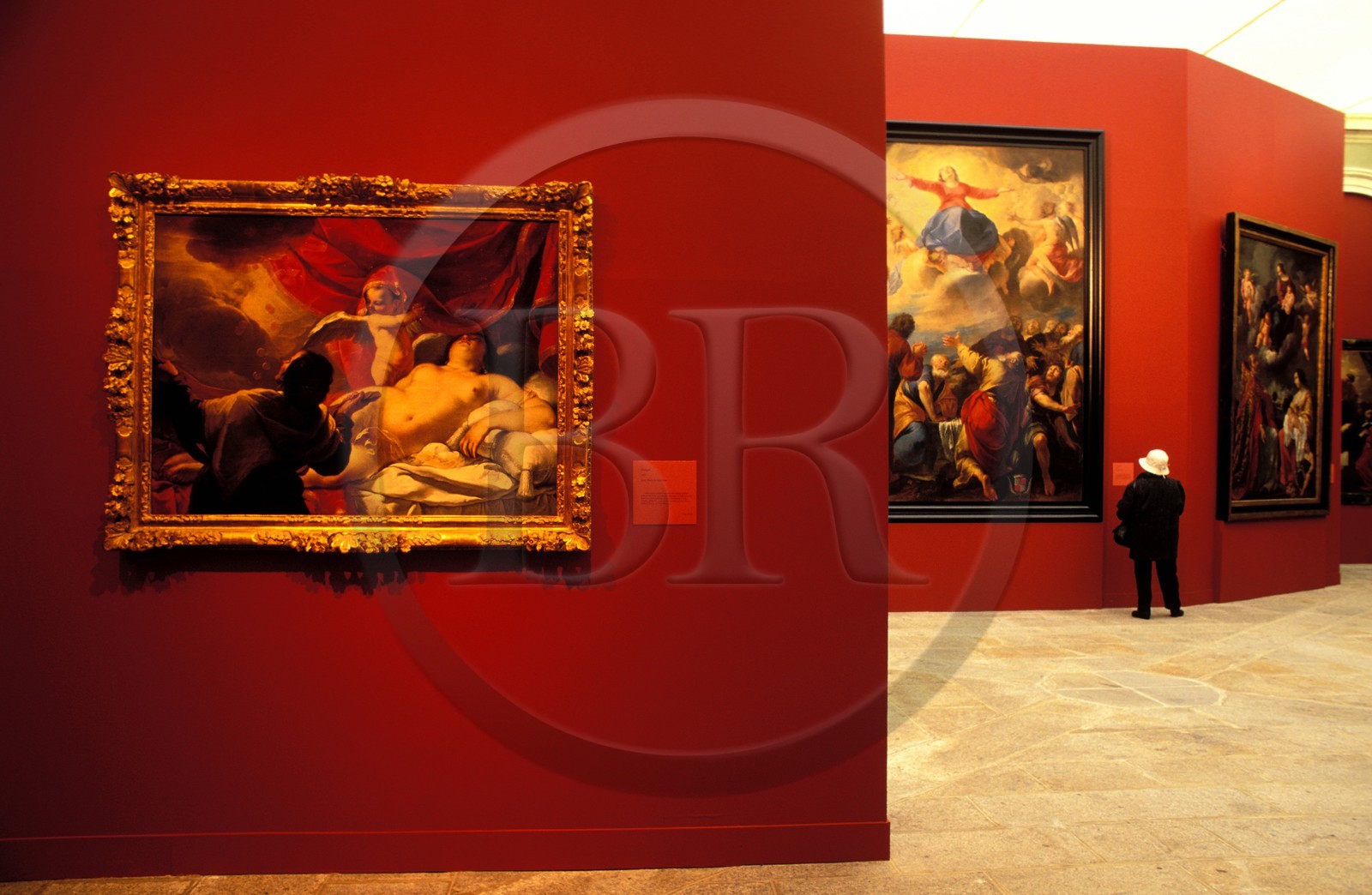 France, Ille et Vilaine, Rennes, Fine Arts Museum