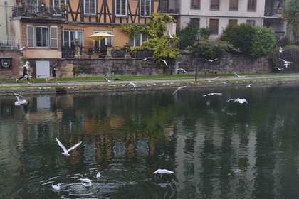 France, Bas-Rhin (67), Strasbourg, vieille ville classée au Patrimoine Mondial de l'UNESCO,