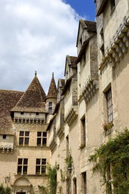France, Dordogne (24), Périgord Blanc, Neuvic, chateau de Neuvic en bordure de la rivière L'Isle que longe la Véloroute Voie verte