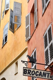 France, Alpes-Maritimes (06), Grasse, ruelle de la vieille ville, faux et vrai chat