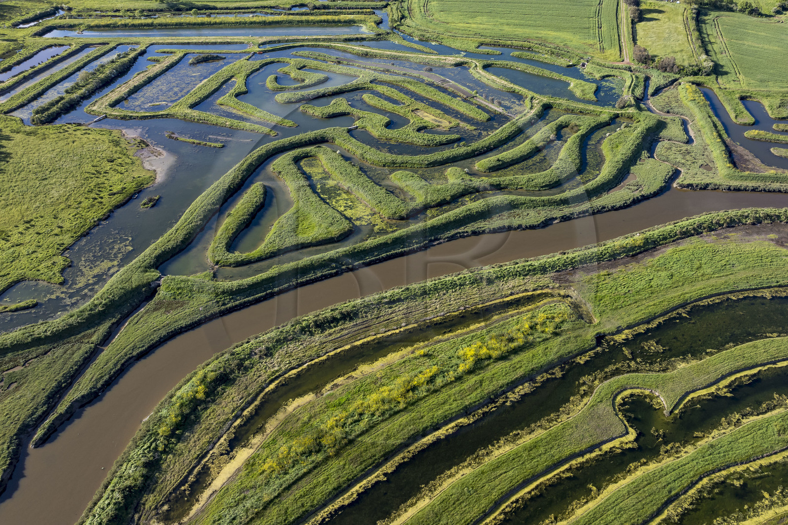 France, Vendée (85), Talmont-Saint-Hilaire, marais de la Guittière dans l'arrière pays de la Pointe du Payré, passage du Cul d’Ane, marais aménagés pour la pisciculture de dorades, mulets et anguilles (vue aérienne)
