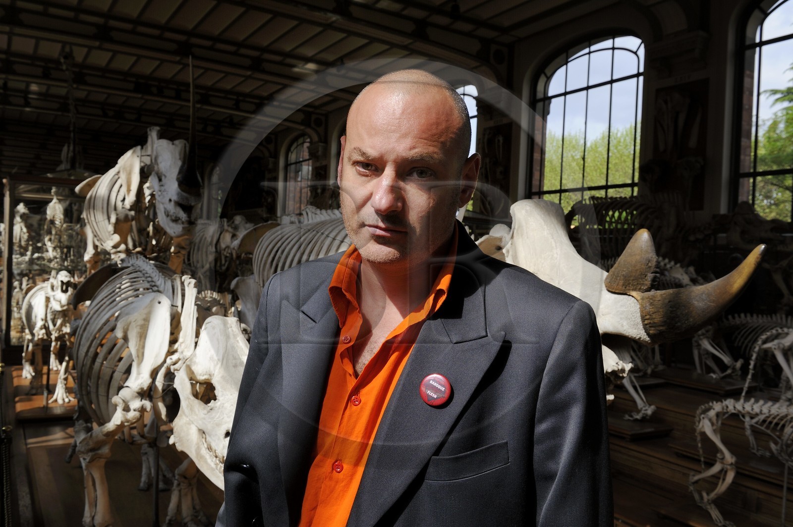 France, Paris (75), Jardin des Plantes, Museum National d'Histoire Naturelle, Galeries de Paléontologie et d'Anatomie comparée