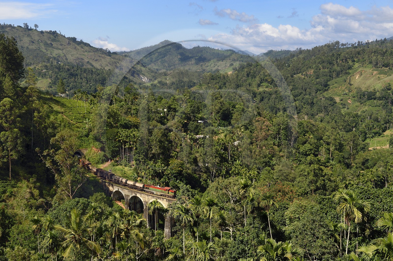 Sri Lanka, Uva Province, train on the railway track that goes through the tea growing hill country between Badulla and Ella, the Nine Arches bridge (1921) next to Ella
