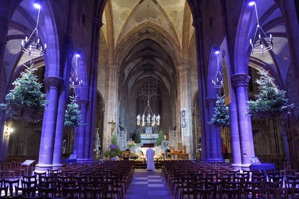 France, Bas Rhin, Strasbourg, Selestat, the fir trees suspended under the arches of the nave of the Saint-Georges church are traditionally decorated with apples, bredele, balls taking into account an evolution over time