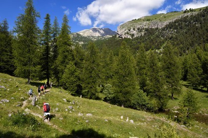 France, Alpes-Maritimes (06), parc national du Mercantour, vallon de la Minière en contrebas de la Vallée des Merveilles, sentier de randonnée vers le Mont Bégo (2872m) en arrière plan