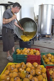 France, Reunion island (French overseas department), La Saline, La Part des Anges Distillation, pineapple collected in tanks after three months of fermentation and before distillation