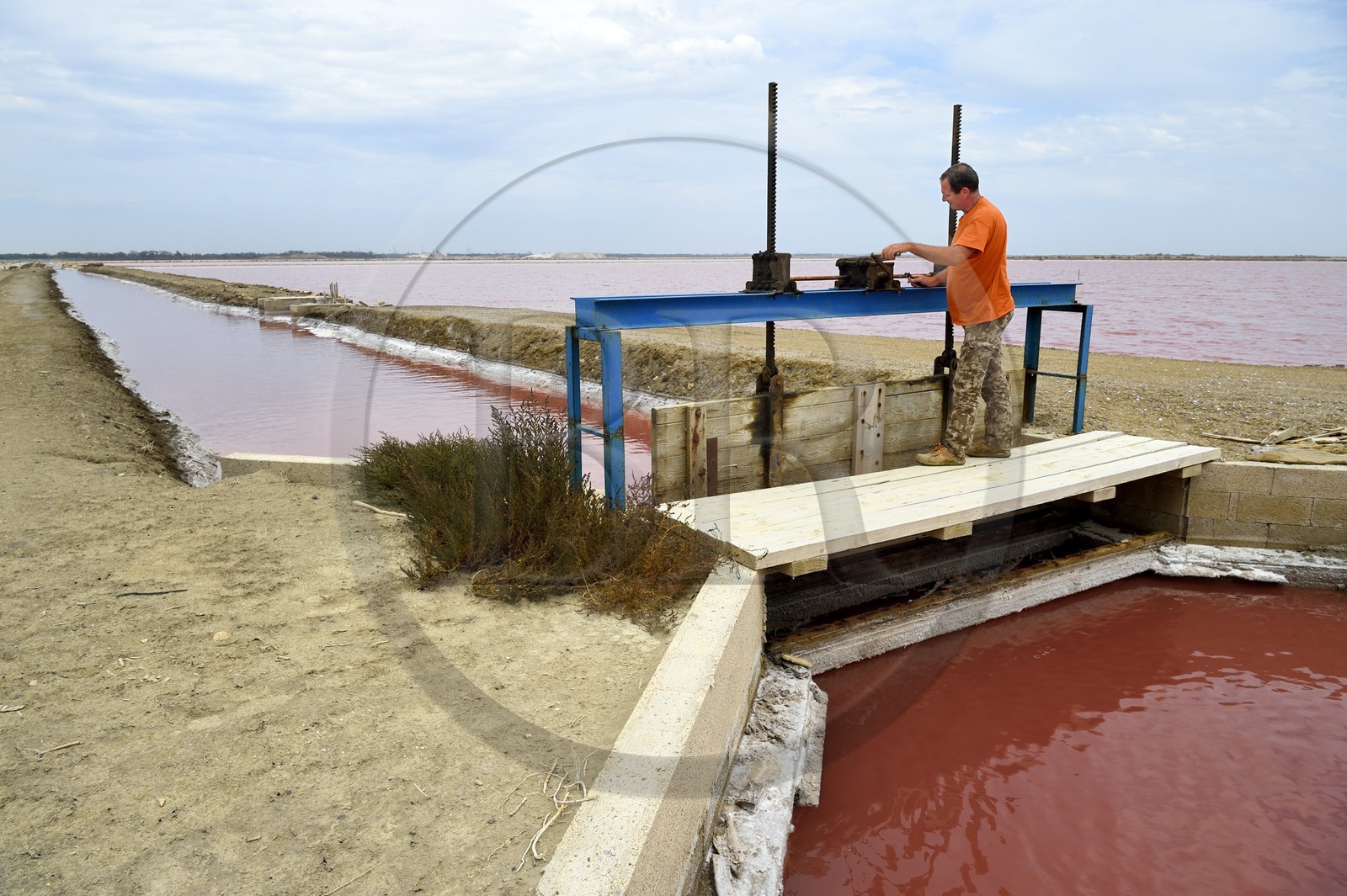 France, Bouches-du-Rhône (13), Camargue, Salin-de-Giraud, les salins du Midi, le saunier aiguadier Pierre Brun controle une marteliere, vanne pour l'irrigation de marais salants
