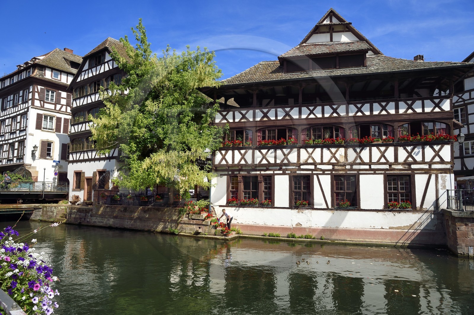 France, Bas-Rhin (67), Strasbourg, vieille ville classée au Patrimoine Mondial de l'UNESCO, la Maison des Tanneurs de 1572 (restaurant)