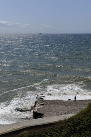 France, Seine Maritime, Le Havre, observation of the transit of large container ships from the main beach in Sainte-Adresse