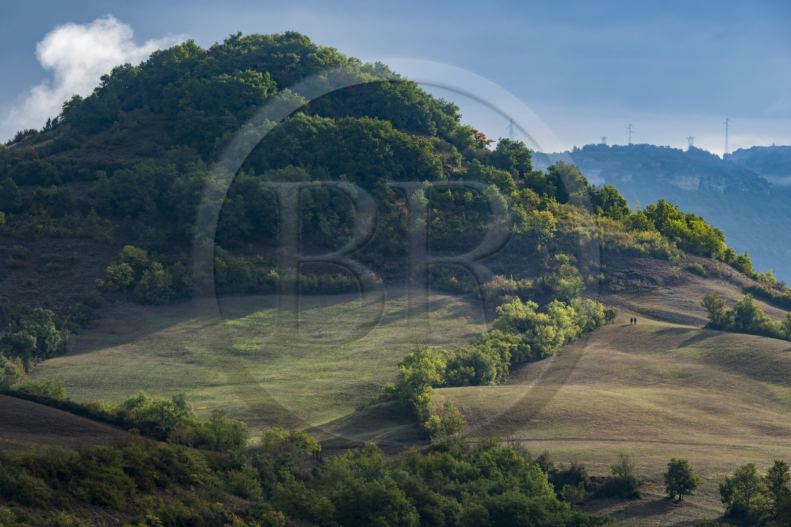 France, Aveyron (12), parc naturel régional des Grands-Causses, Saint Affrique, paysage au nord-ouest de Roquefort vers Tiergues
