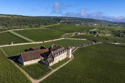 France, Côte-d'Or (21), Paysage culturel des climats de Bourgogne classés Patrimoine Mondial de l'UNESCO, Route des Grands Crus, vignoble de la Côte de Nuits, Vougeot, le Chateau du Clos de Vougeot entouré par le vignoble (vue aérienne)