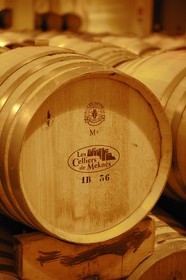 Morocco, Meknes Tafilalet Region, near Meknes, Boufakrane, Les Celliers de Meknes, wine cellar