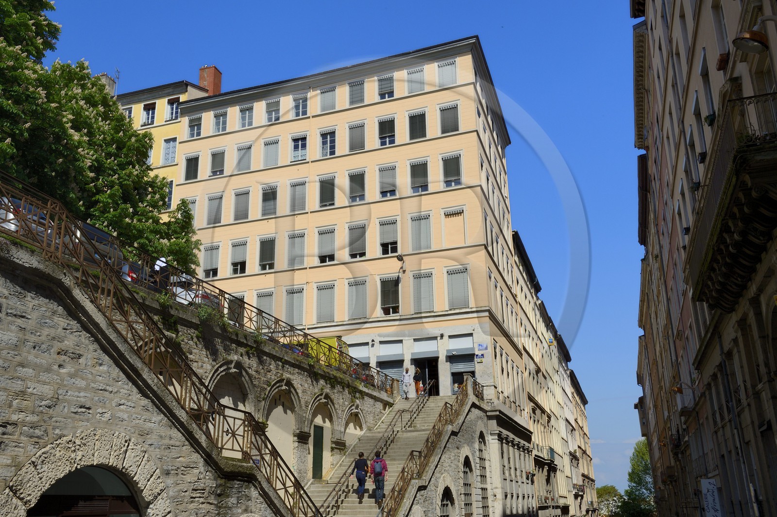 France, Rhone, Lyon, historical site listed as World Heritage by UNESCO, La Croix Rousse District, staircase leading from the rue Burdeau to the place Chardonnet