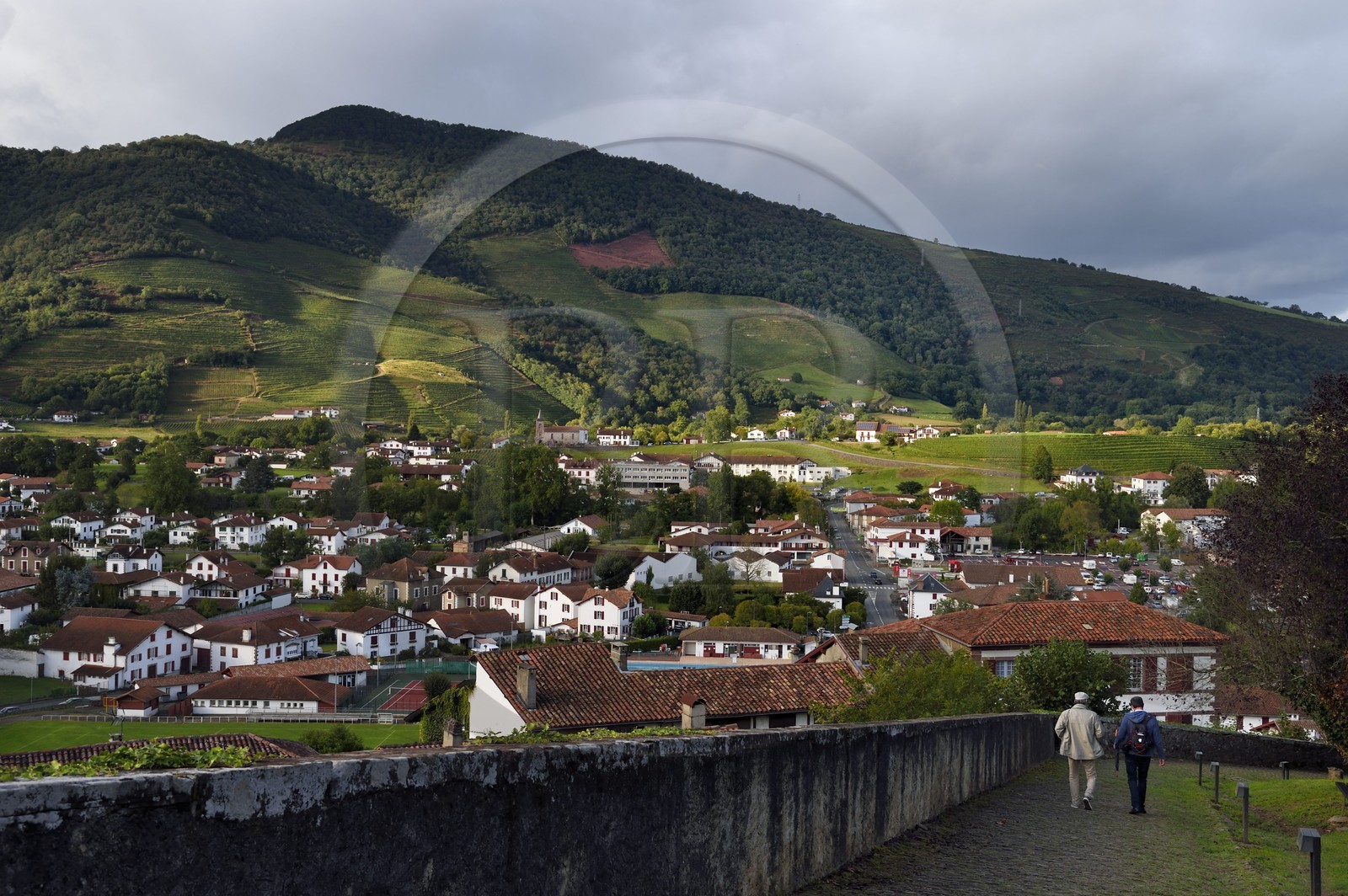 France, Pyrénées-Atlantiques (64), Pays-Basque, Saint-Jean-Pied-de-Port, les vignes de la colline d'Ispoure