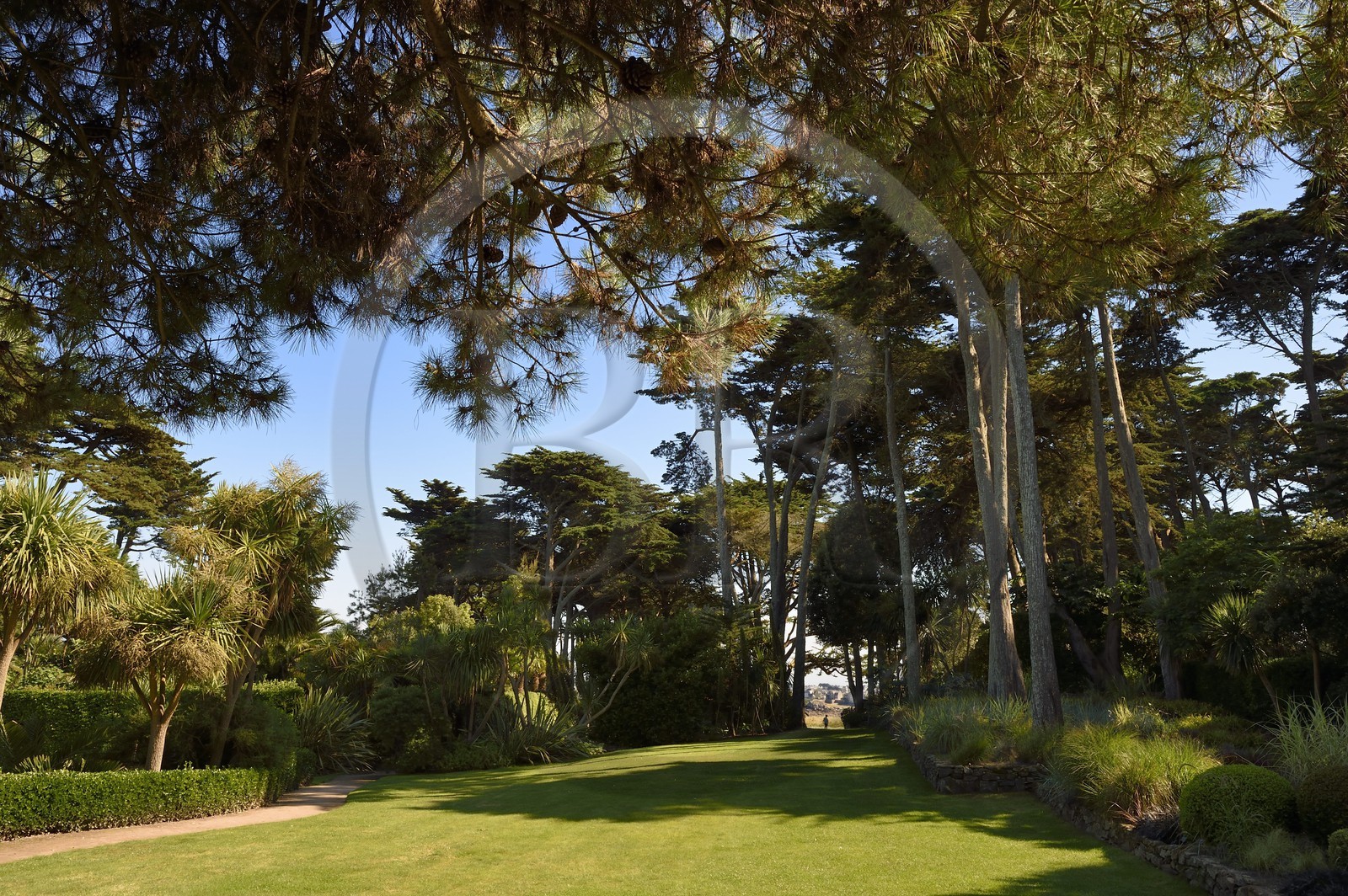 France, Finistère (29), Ile-de-Batz, jardin Georges Delaselle ou jardin colonial, jardin exotique présentant une collection botanique provenant des cinq continents