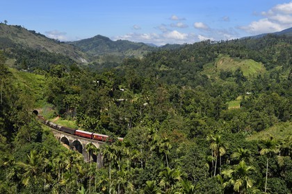 Sri Lanka, Province d'Uva, train sur la voie de chemin de fer dans la région montagneuse de la culture du thé entre Badulla et Ella, le Pont aux Neuf Arches (1921) non loin de Ella