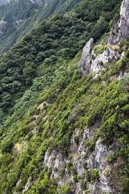 Portugal, Madeira Island, hike from Machico to Porto da Cruz by the Vereda do Larano, hikers on the path carved into the side of the wall of the cliff of Larano