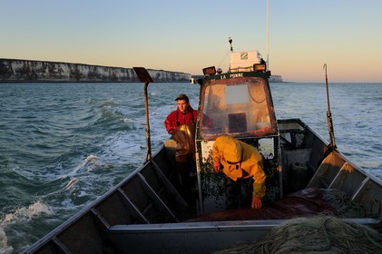 France, Seine-Maritime (76), au large de Veules-les-Roses à l'aube, pêche au filet à bord du bateau La Pomme appartenant à Anthony Paumier le plus jeune patron de pêche de France