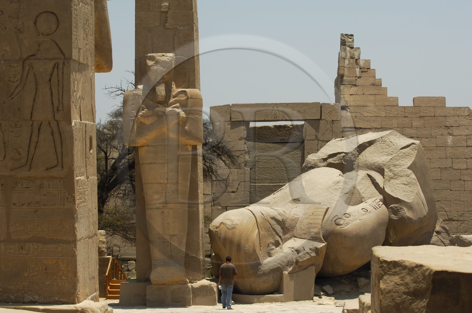 Egypte, Haute Egypte, vallée du Nil, environs de Louxor, nécropole thébaine classée Patrimoine Mondial de l'UNESCO, Thèbes Ouest, temple de Ramesseum