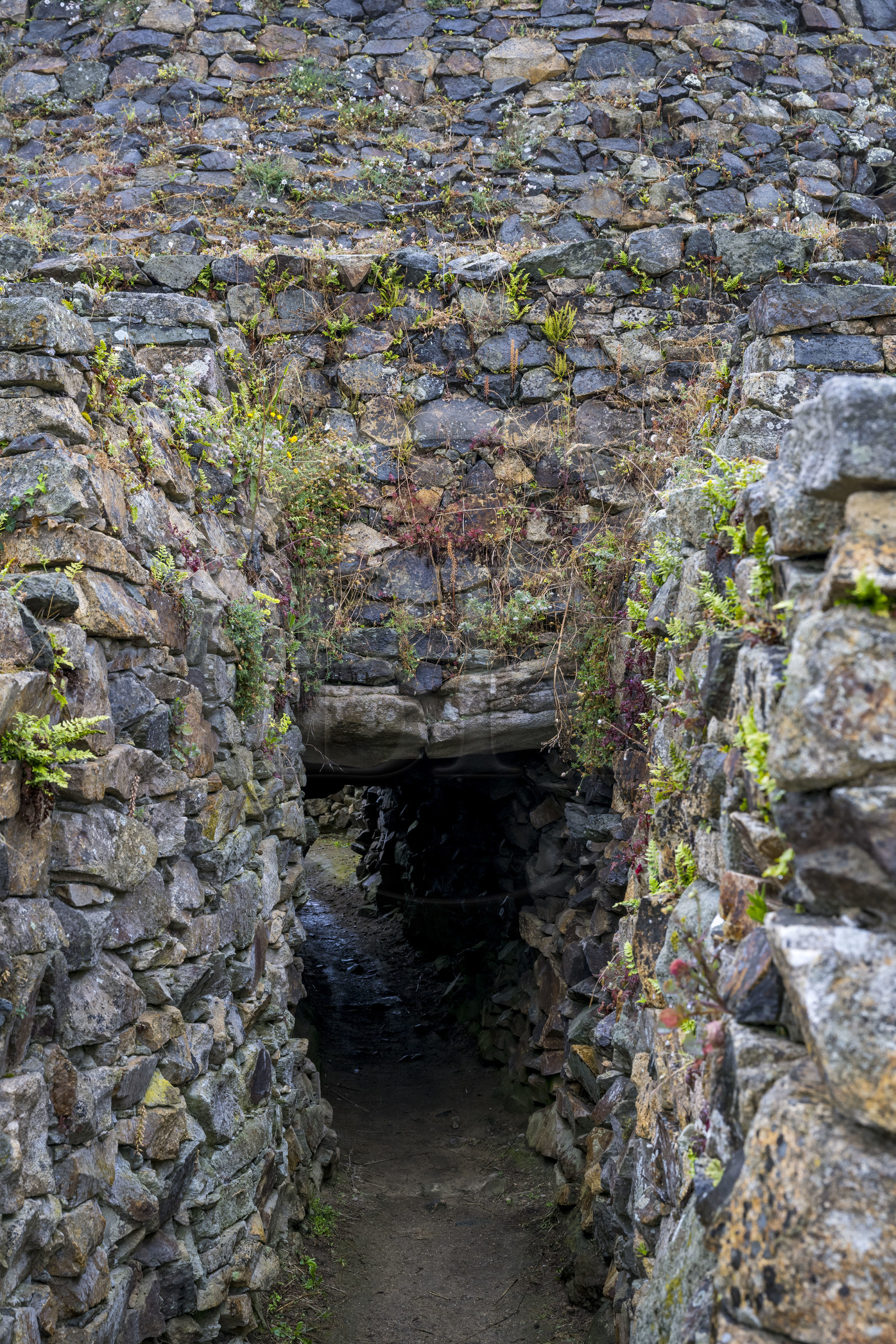 France, Finistère (29), Baie de Morlaix, Presqu'ïle de Kernehelen, site mégalithique du Cairn de Barnenez vieux de 6000 ans, dolmen à couloir, une des entrées de chambres