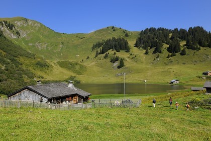 Suisse, Canton de Vaud, Villars sur Ollon, hameau de Bretaye