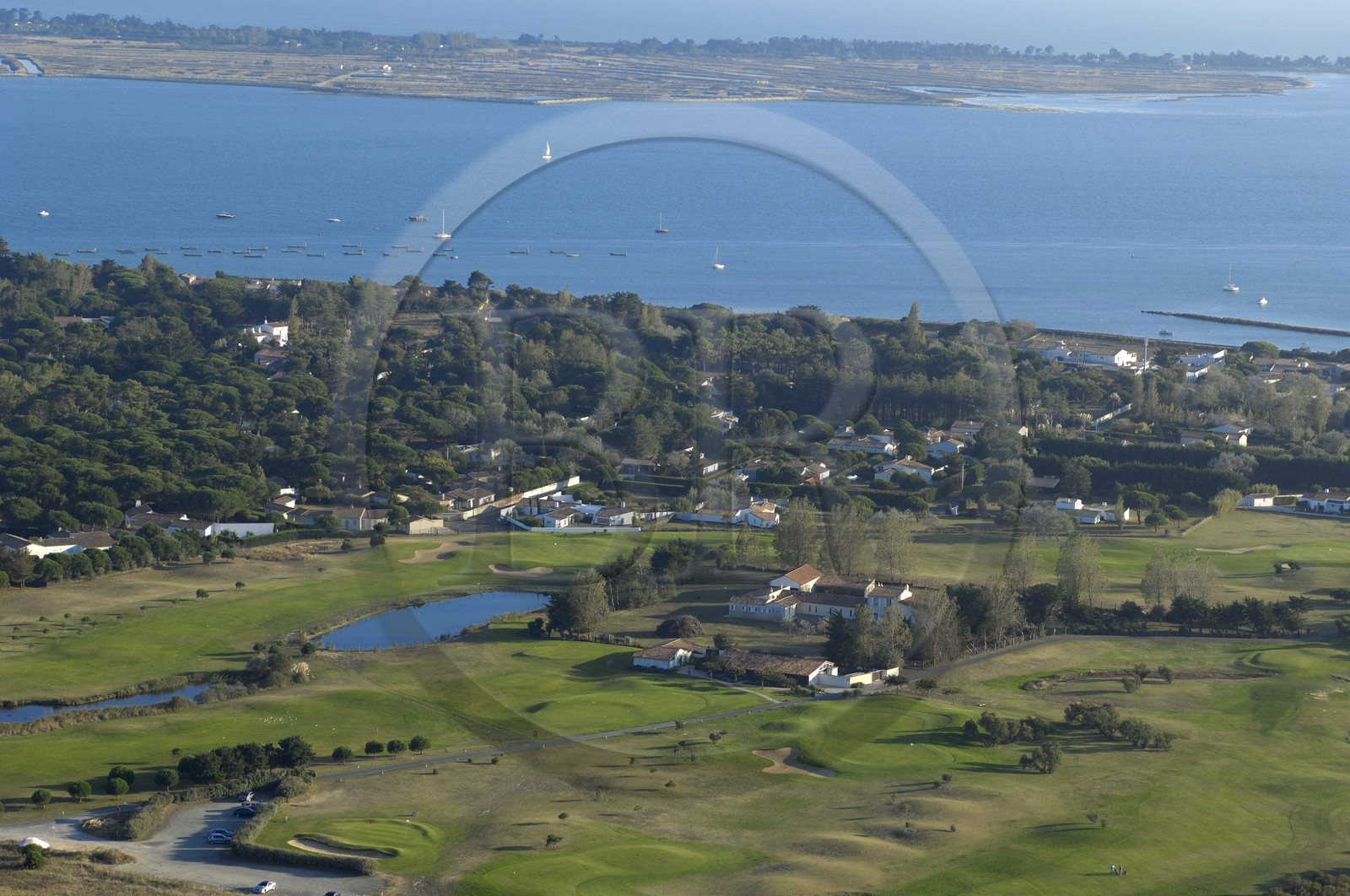 France, Charente-Maritime (17), ile de Ré, les Portes-en-Ré, golf et Bois de Trousse-Chemise (vue aérienne)