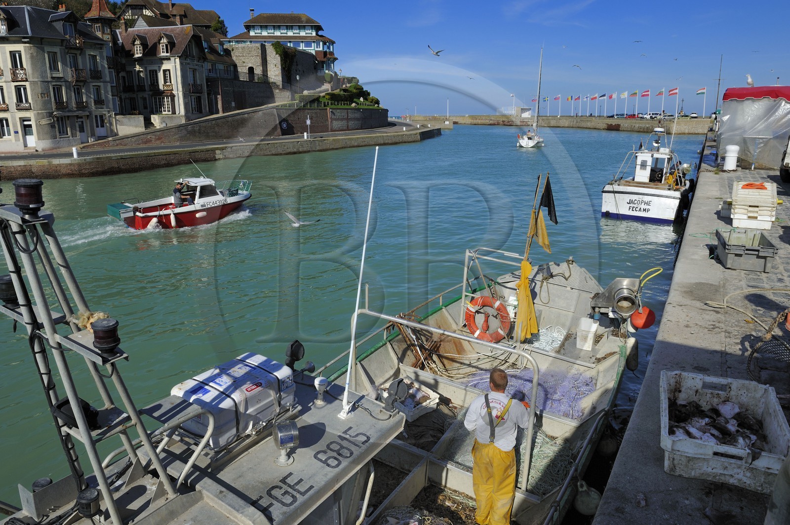 France, Seine-Maritime (76), Saint-Valery-en-Caux, l'entrée du port de pêche, débarquement de la pêche du jour