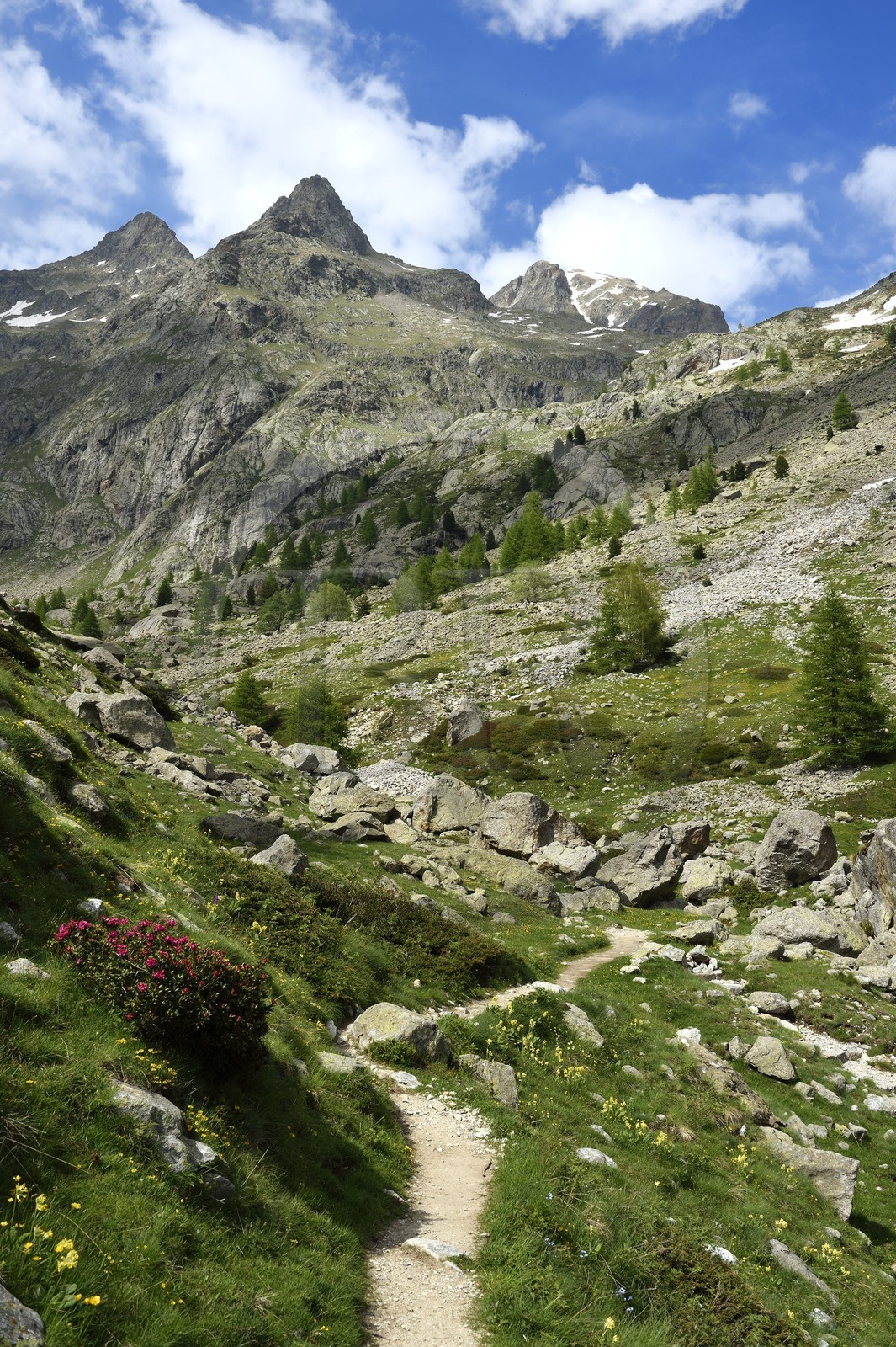 France, Alpes-Maritimes (06), parc national du Mercantour, Haute-Vésubie, vallon de la Gordolasque