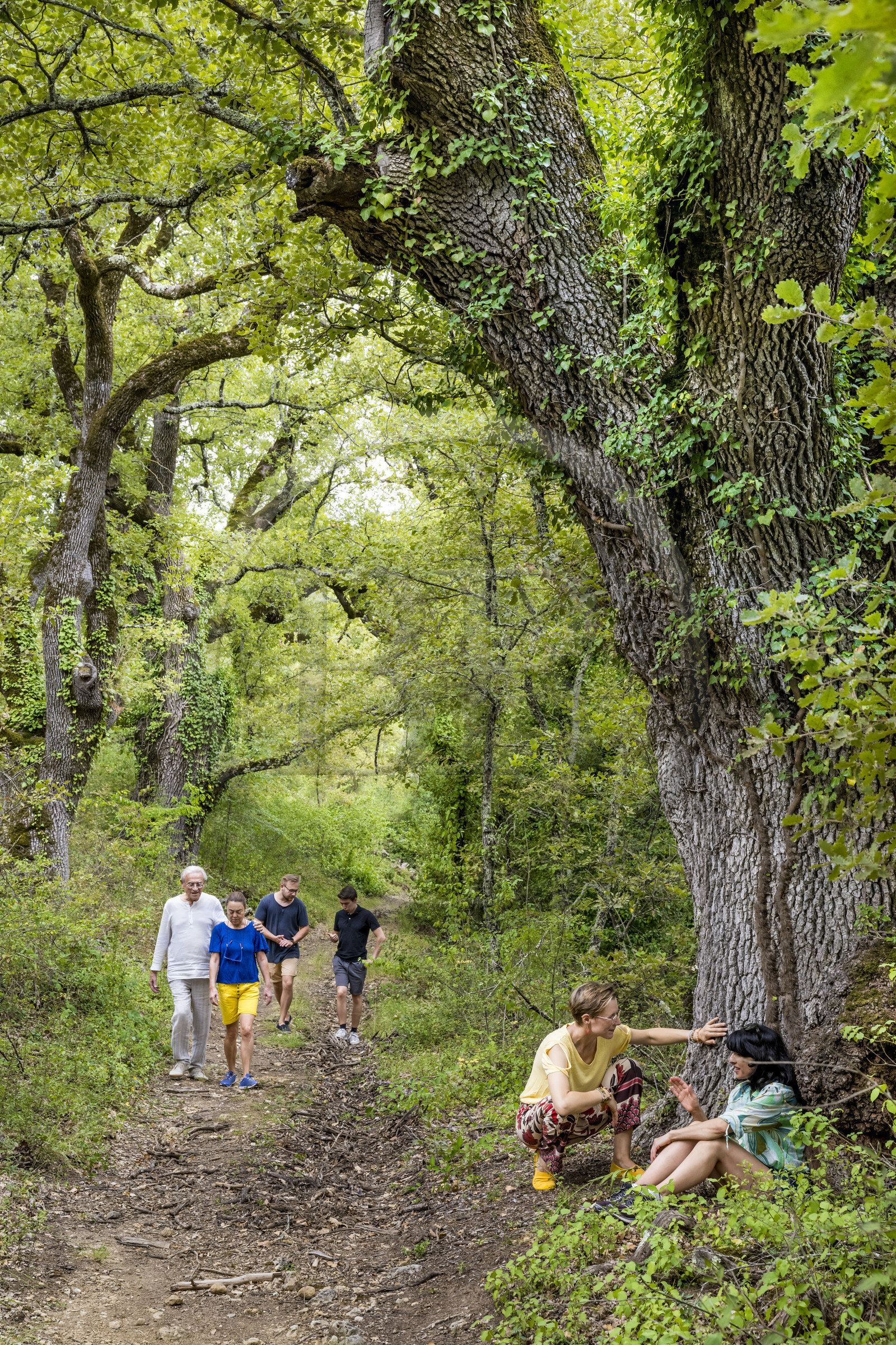 France, Var (83), Provence Verte, Bras, Académie du Bain de Forêt Provençale, forêt du domaine Le Peyrourier - une campagne en Provence, Constanze Coisne guide le Shinrin Yoku