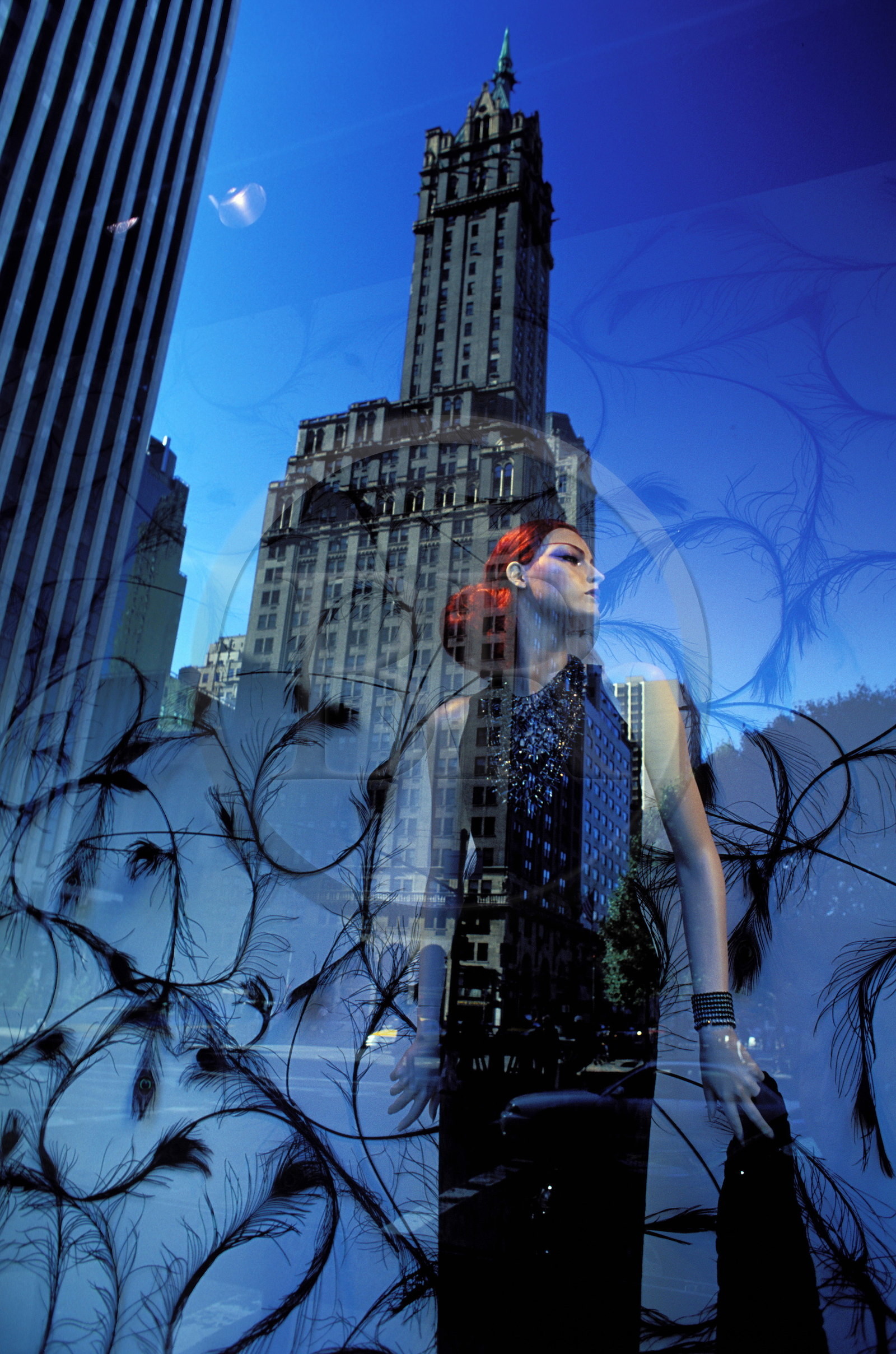 United States, New York City, Upper Midtown, the Fifth Avenue in the ìBergdorf Goodman shop window