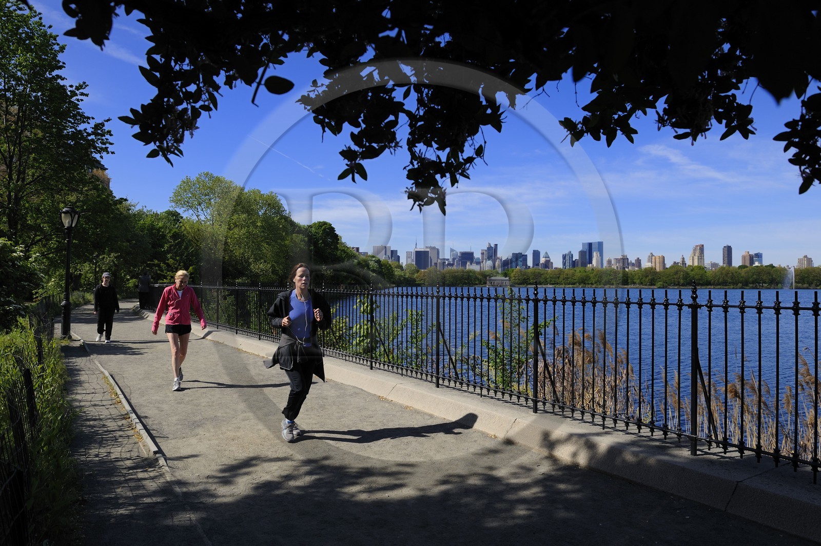 Etats-Unis, New York, Manhattan, Central Park, footing autour du Réservoir entouré de buildings