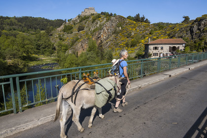 France, Haute-Loire (43), Goudet, le chateau de Beaufort construit vers 1200 domine la vallée de la Loire, randonnée avec un âne sur le chemin de Stevenson (GR 70)