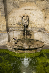 France, Herault, Montpellier, historic center called the Ecusson, The Hotel Haguenot, private mansion called Montpellier Folie from the second half of the 18th century, the fountain